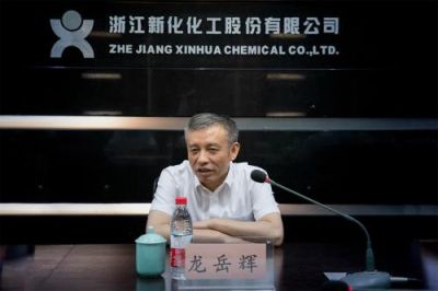 省税务局党委书记、副局长龙岳辉莅临公司调研